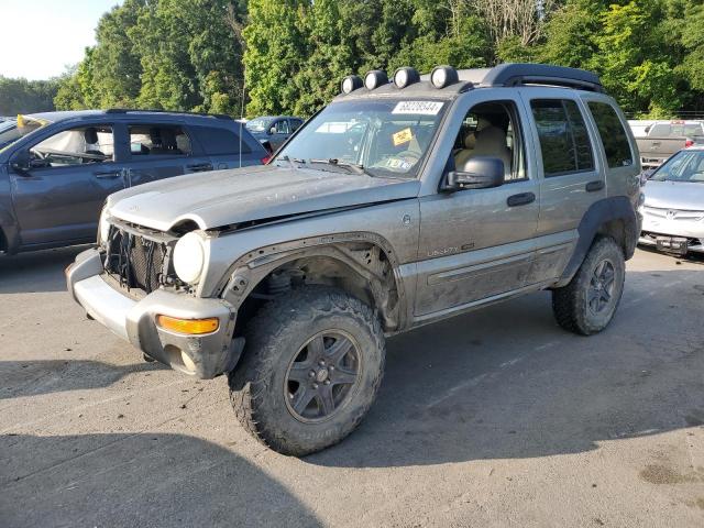 JEEP LIBERTY RE 2002 1j8gl38k72w366415