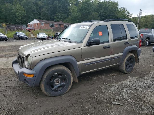 JEEP LIBERTY SP 2003 1j8gl48k23w628218