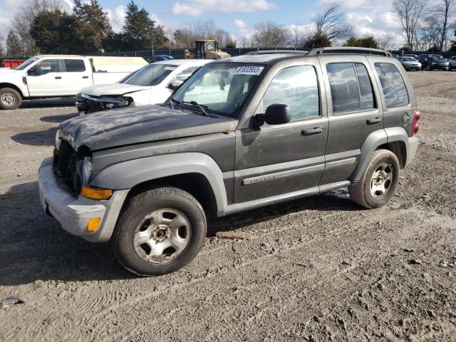 JEEP LIBERTY 2006 1j8gl48k56w123925