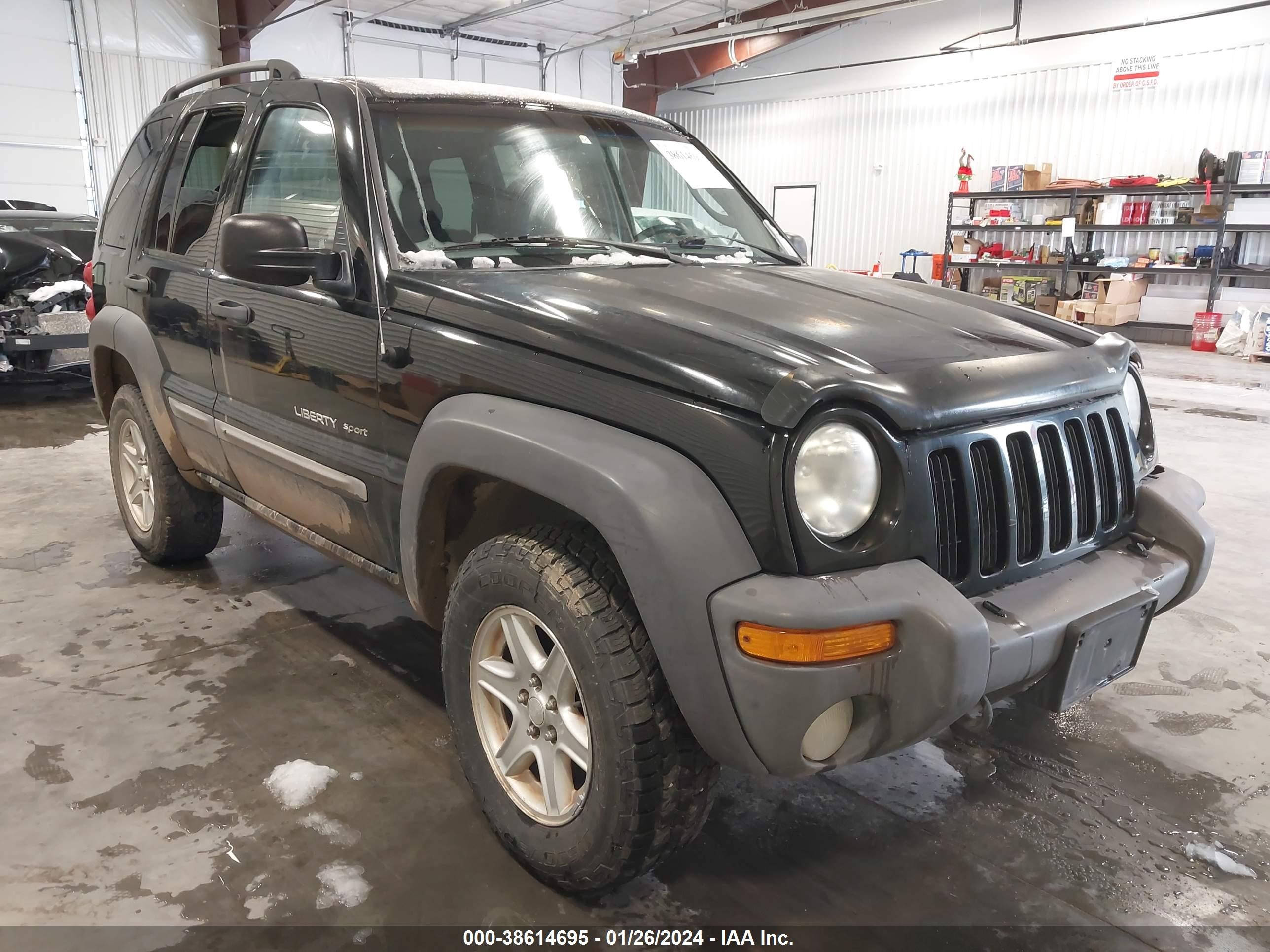 JEEP LIBERTY (NORTH AMERICA) 2002 1j8gl48k82w293707