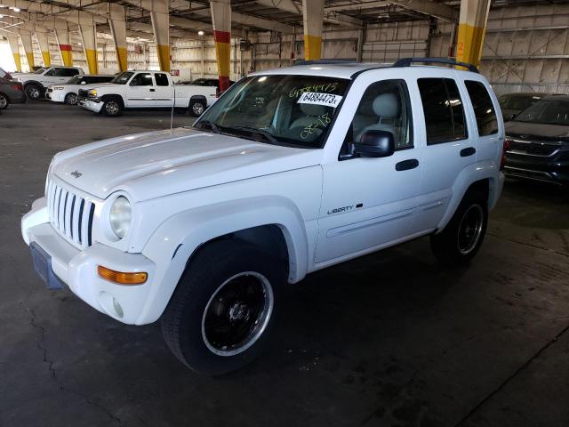 JEEP LIBERTY LI 2002 1j8gl58k02w198564