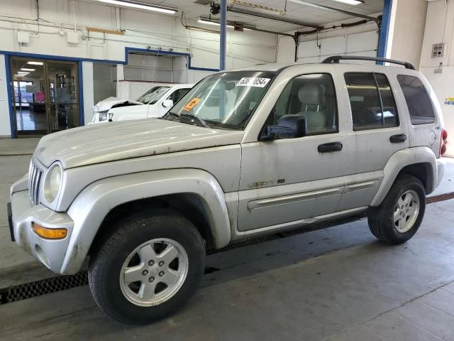 JEEP LIBERTY LI 2002 1j8gl58k02w272193