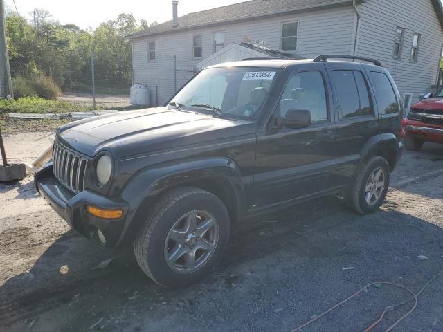 JEEP LIBERTY 2003 1j8gl58k03w543741