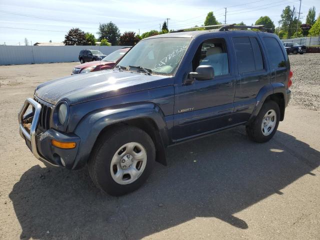 JEEP LIBERTY 2004 1j8gl58k04w130719