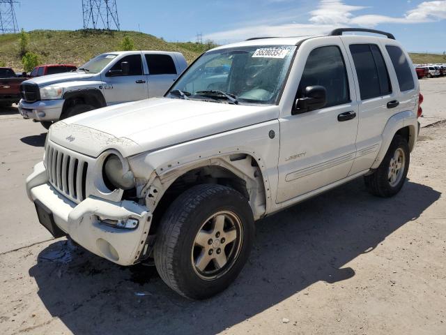 JEEP LIBERTY 2004 1j8gl58k04w234403