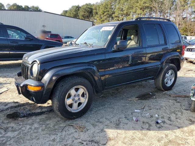 JEEP LIBERTY LI 2003 1j8gl58k13w718644