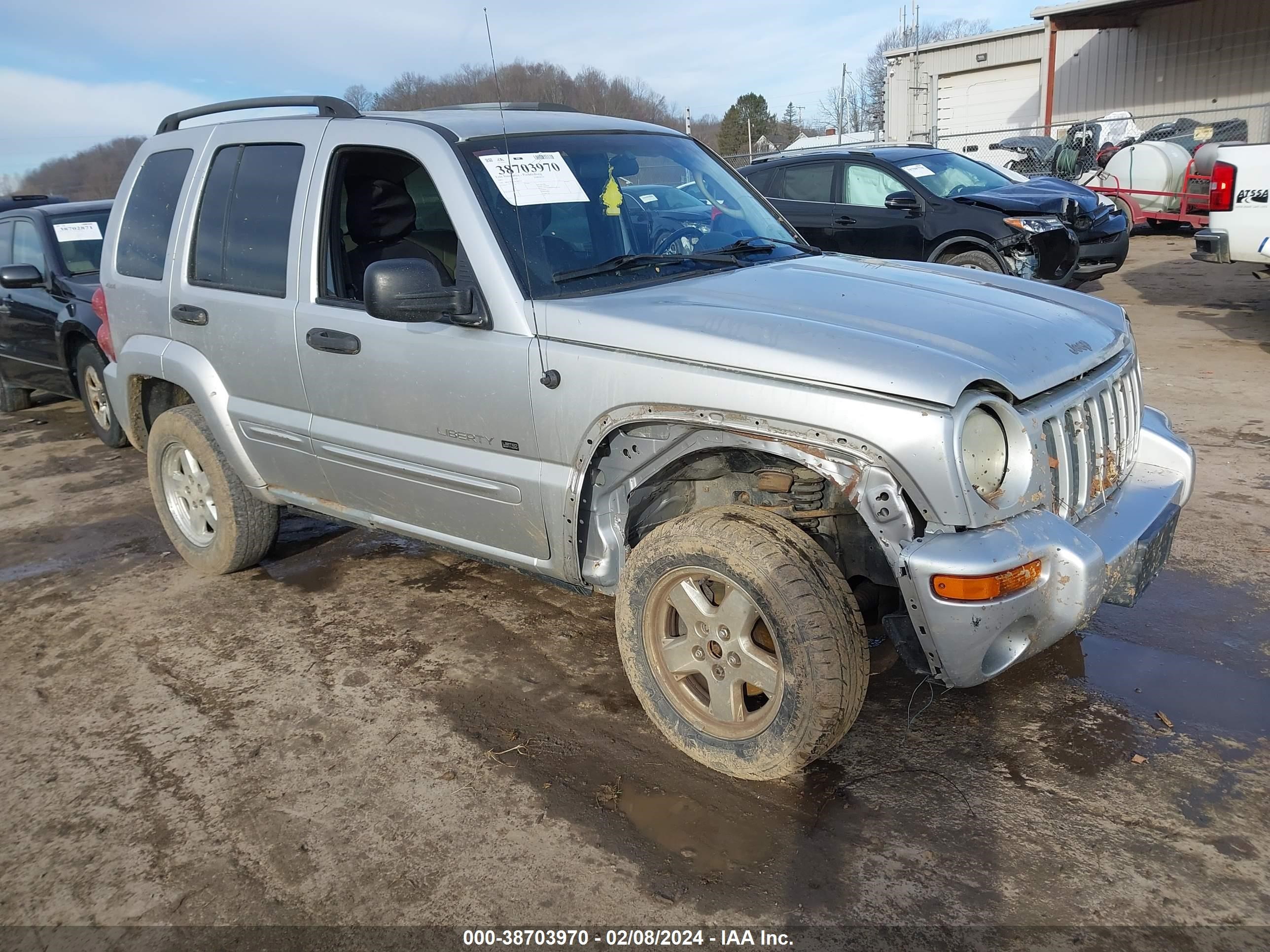 JEEP LIBERTY (NORTH AMERICA) 2002 1j8gl58k22w100716