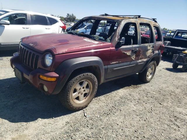 JEEP LIBERTY LI 2003 1j8gl58k23w503807