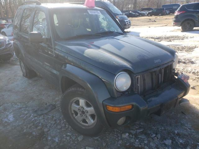 JEEP LIBERTY LI 2002 1j8gl58k32w147334