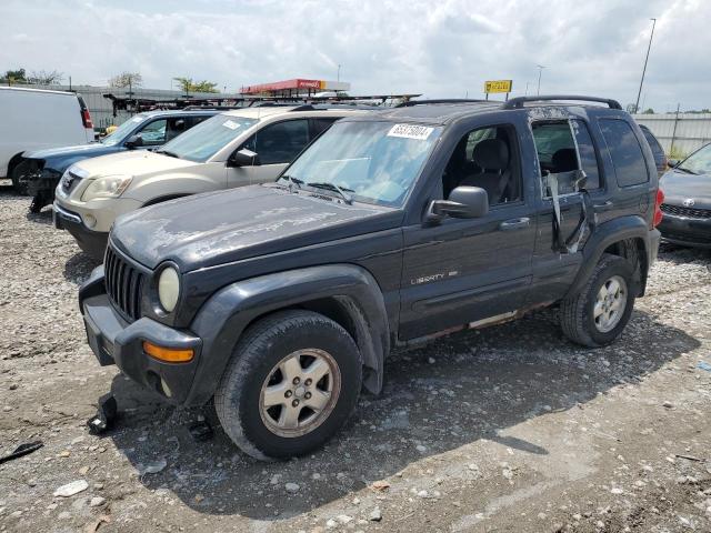 JEEP LIBERTY 2002 1j8gl58k32w183640