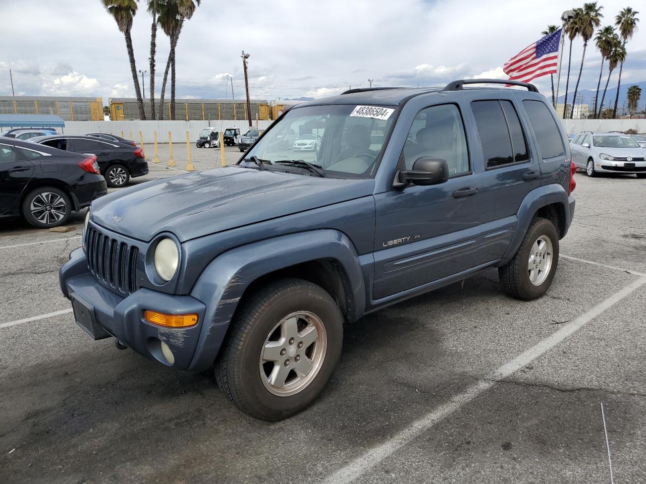 JEEP LIBERTY (NORTH AMERICA) 2002 1j8gl58k42w145432