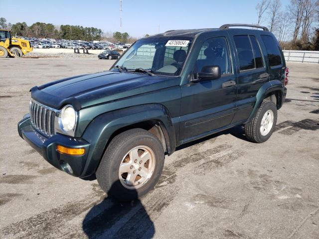 JEEP LIBERTY 2002 1j8gl58k42w223837