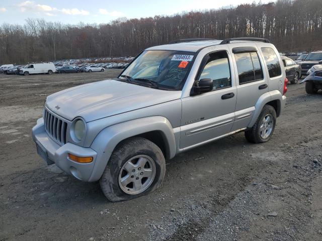 JEEP LIBERTY 2002 1j8gl58k52w350368