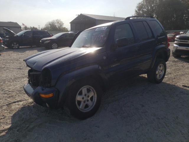 JEEP LIBERTY 2004 1j8gl58k54w250239