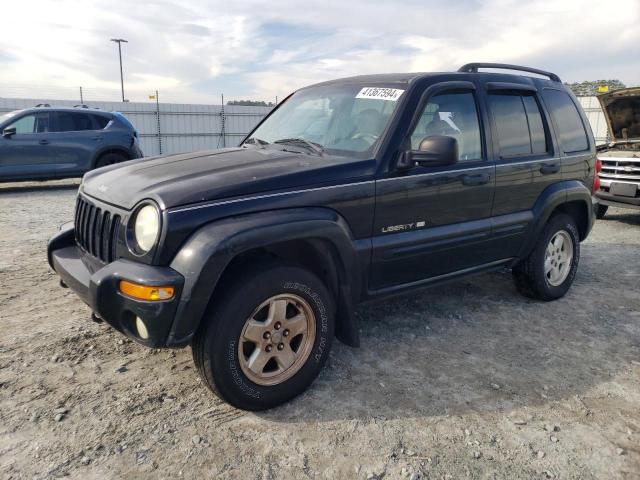 JEEP LIBERTY 2002 1j8gl58k62w237612