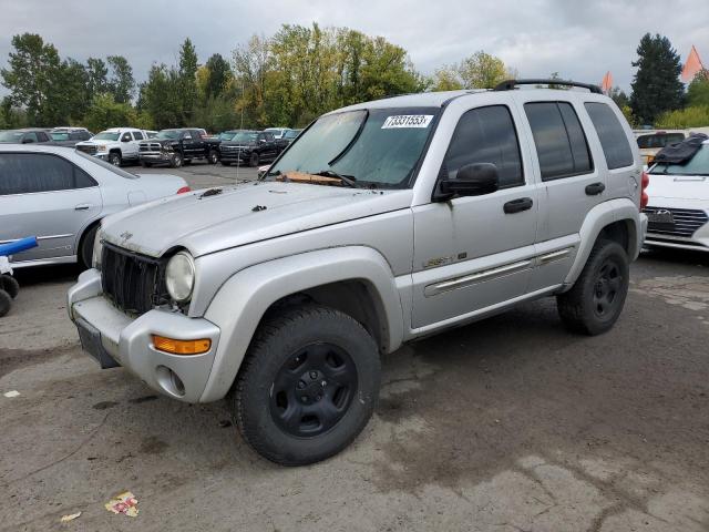 JEEP LIBERTY 2002 1j8gl58k72w247498