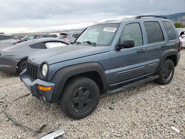 JEEP LIBERTY LI 2002 1j8gl58k72w331112