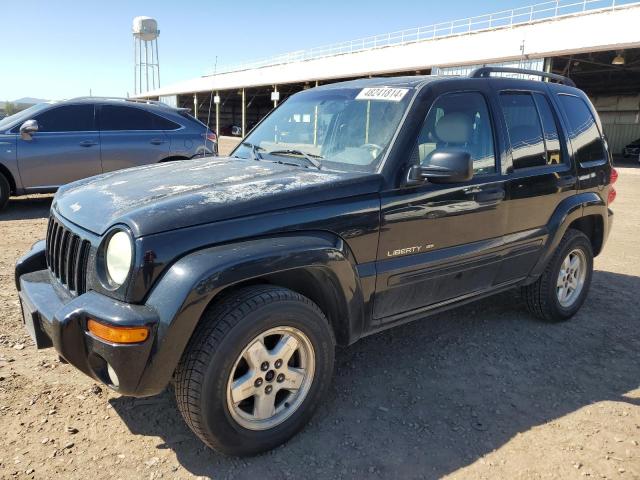 JEEP LIBERTY 2003 1j8gl58k73w503656