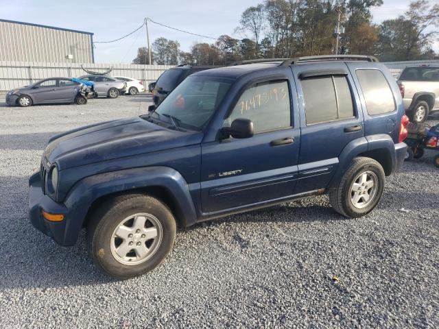 JEEP LIBERTY 2003 1j8gl58k73w607869