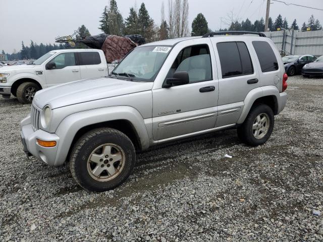 JEEP LIBERTY 2002 1j8gl58k82w293471