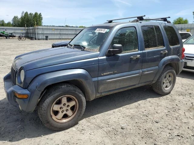 JEEP LIBERTY LI 2002 1j8gl58k92w319589