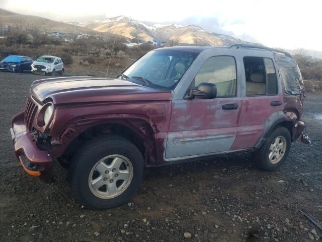 JEEP LIBERTY 2002 1j8gl58k92w367934