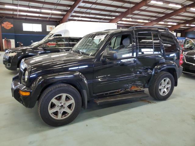 JEEP LIBERTY LI 2003 1j8gl58k93w518711