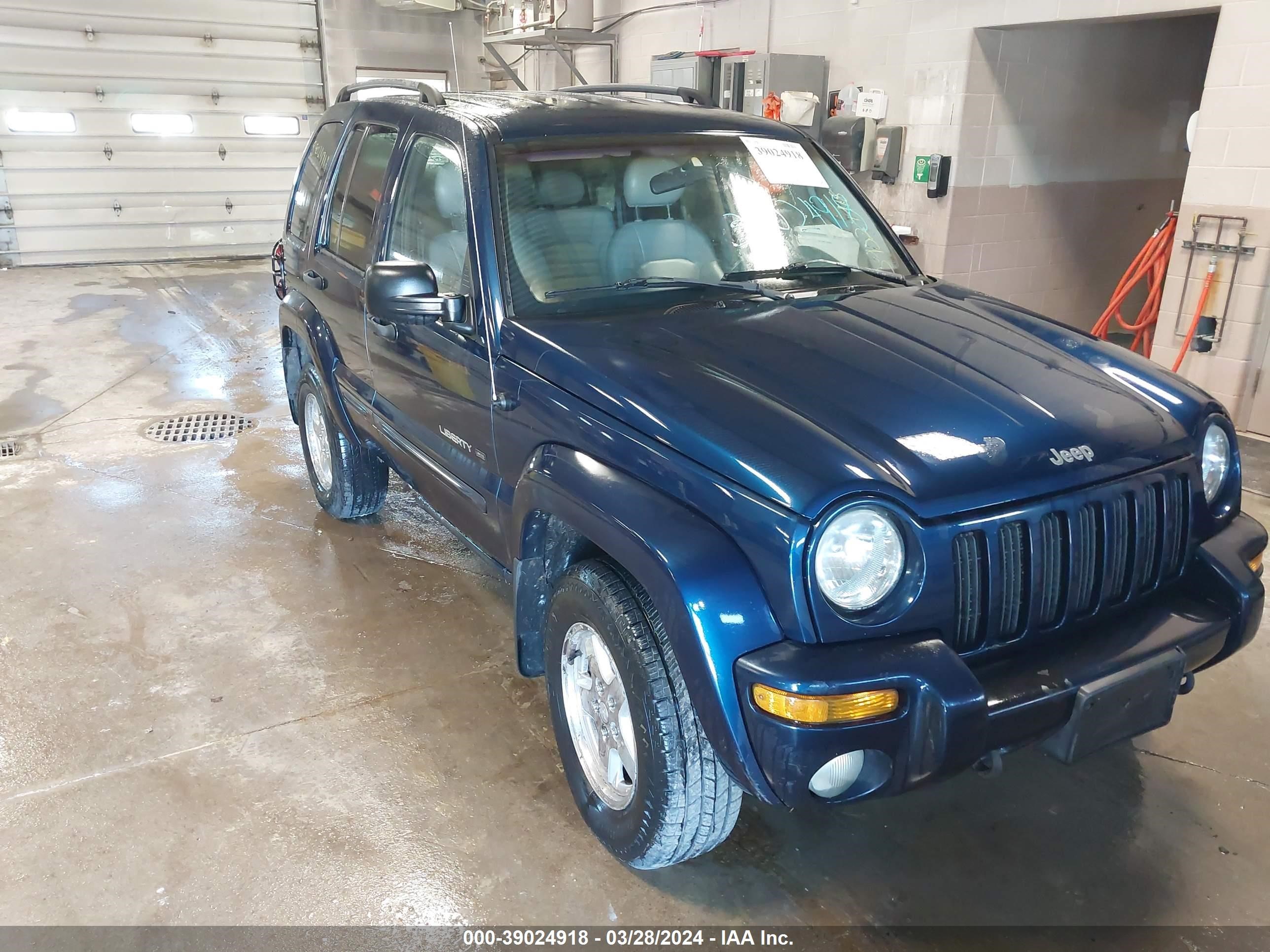 JEEP LIBERTY (NORTH AMERICA) 2002 1j8gl58kx2w169086