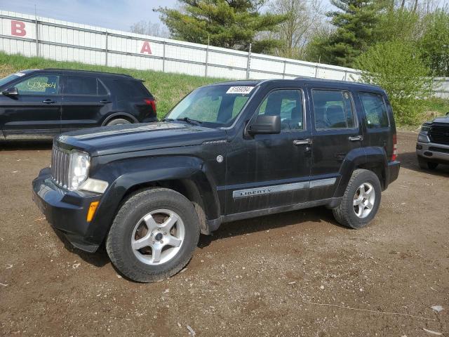 JEEP LIBERTY 2009 1j8gn28k29w551180