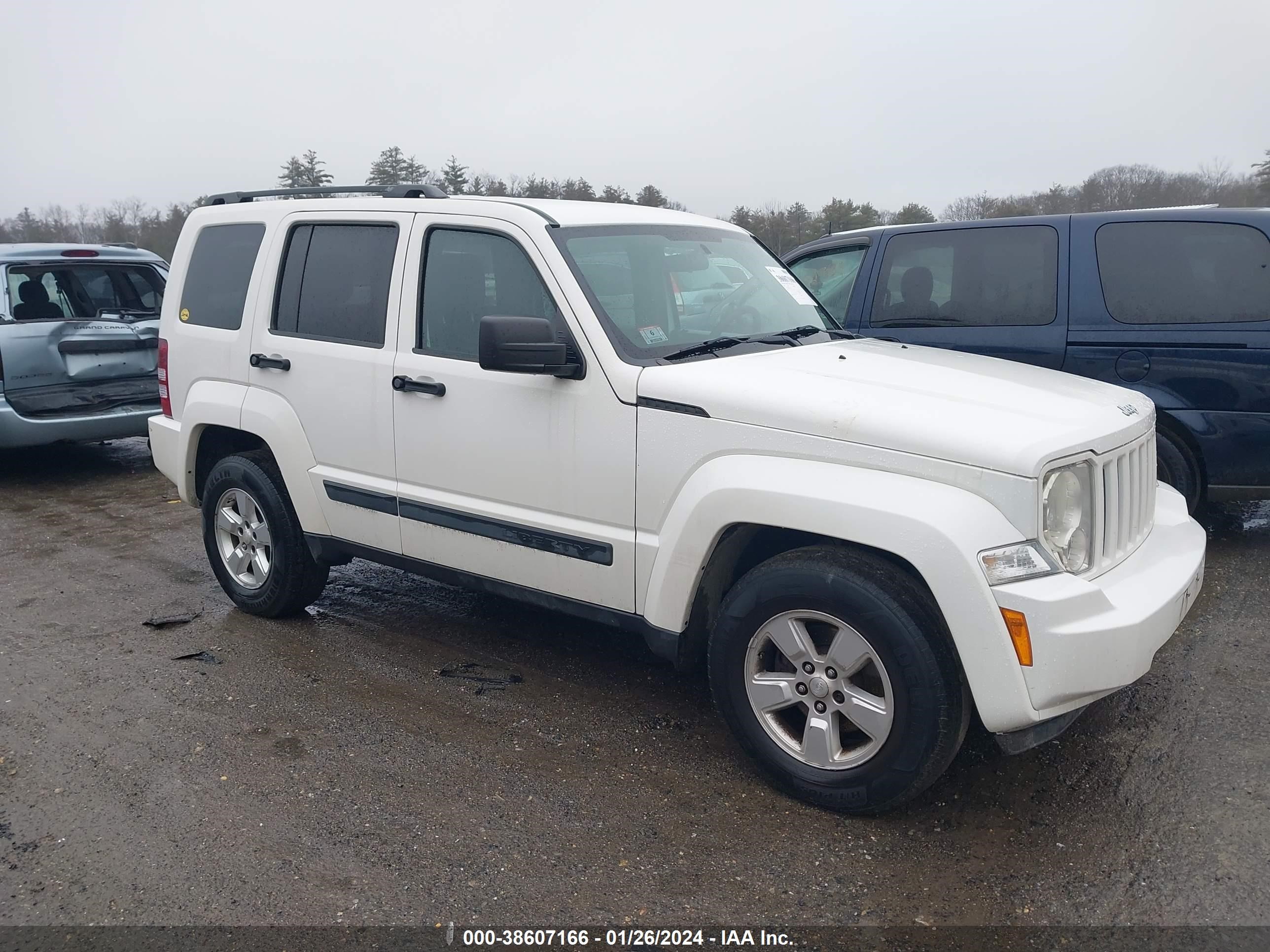 JEEP LIBERTY (NORTH AMERICA) 2009 1j8gn28k39w514624