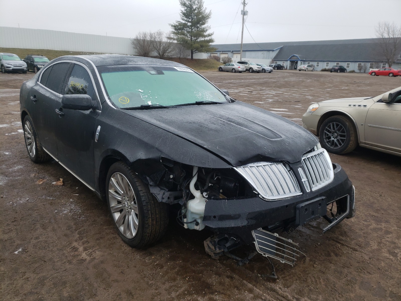 LINCOLN MKS 2011 1lnhl9er1bg601137