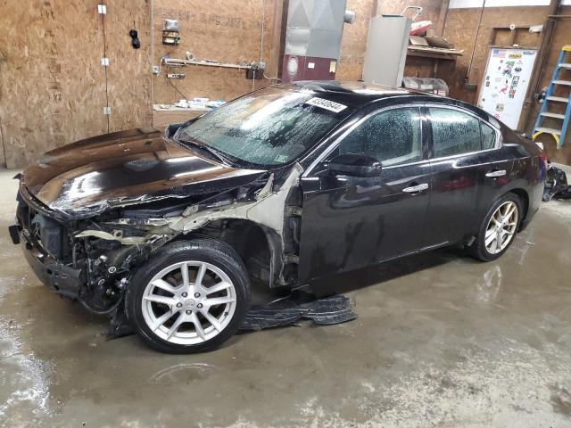 NISSAN MAXIMA 2009 1n4aa51e09c803305