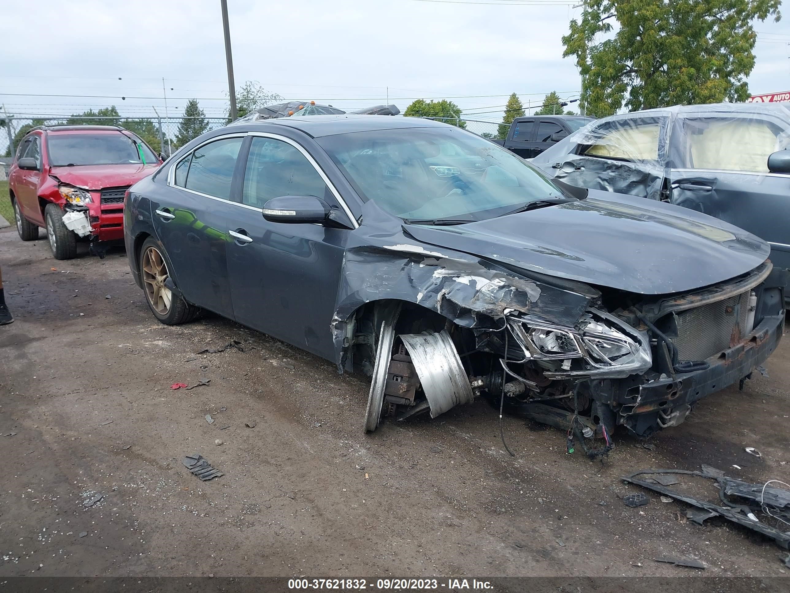 NISSAN MAXIMA 2009 1n4aa51e09c804227