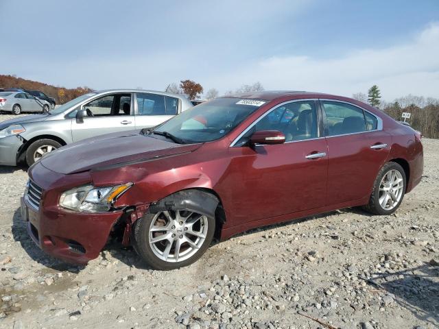 NISSAN MAXIMA S 2009 1n4aa51e09c808035