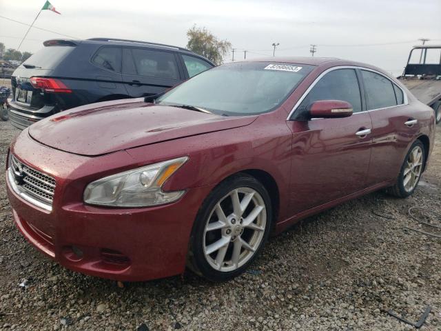 NISSAN MAXIMA 2009 1n4aa51e09c820833