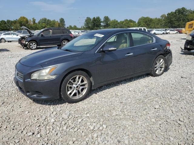 NISSAN MAXIMA S 2009 1n4aa51e09c844582