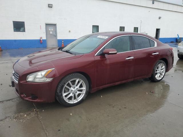 NISSAN MAXIMA 2009 1n4aa51e09c845490