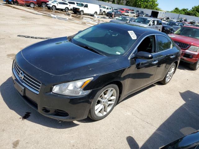 NISSAN MAXIMA 2009 1n4aa51e09c853265