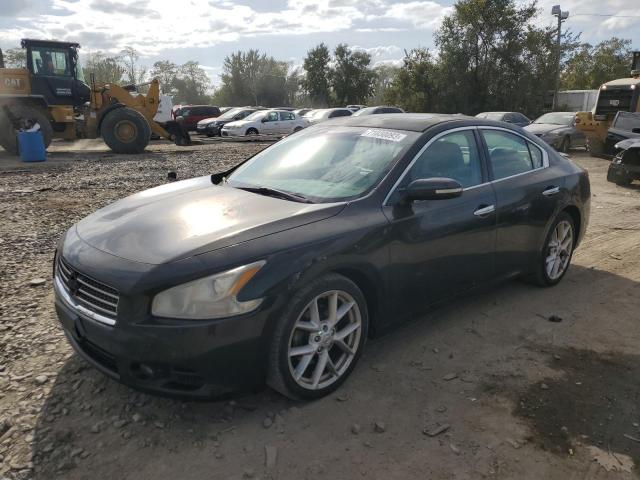 NISSAN MAXIMA S 2009 1n4aa51e19c813499