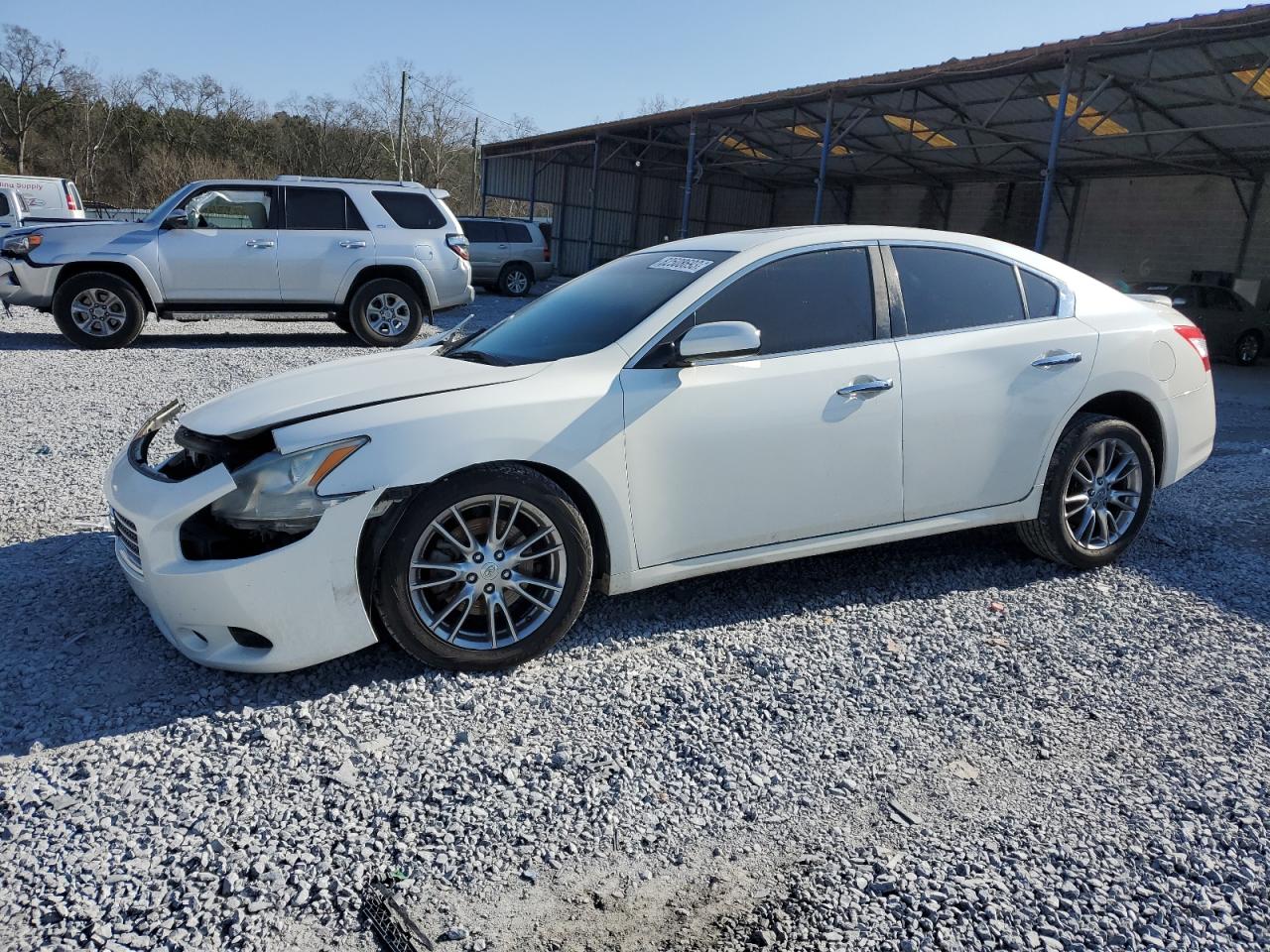 NISSAN MAXIMA 2009 1n4aa51e19c816385