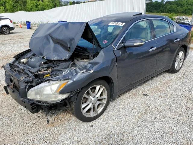 NISSAN MAXIMA S 2009 1n4aa51e19c821795