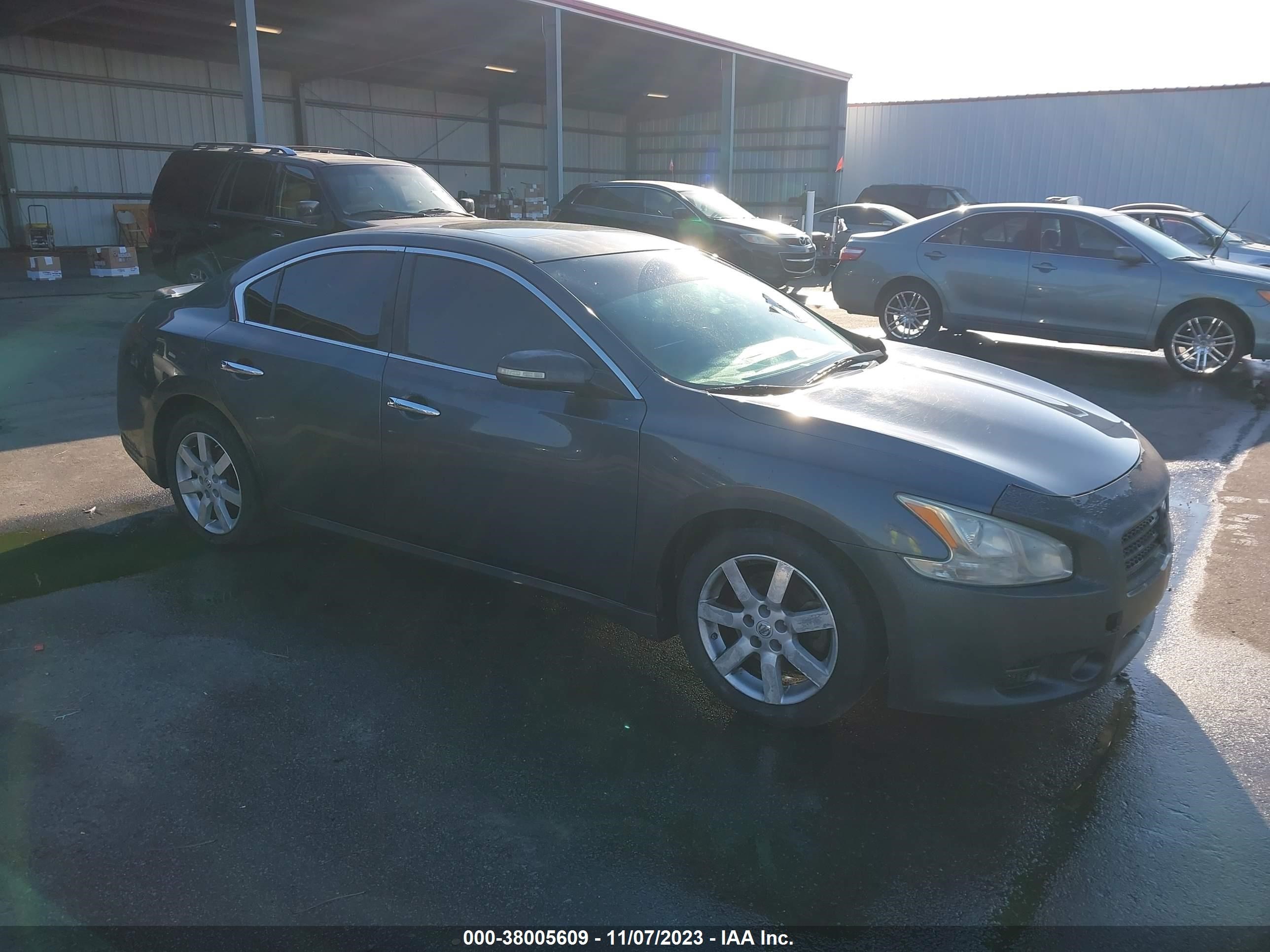 NISSAN MAXIMA 2009 1n4aa51e19c830206