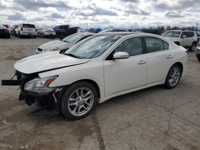 NISSAN MAXIMA 2009 1n4aa51e19c833901