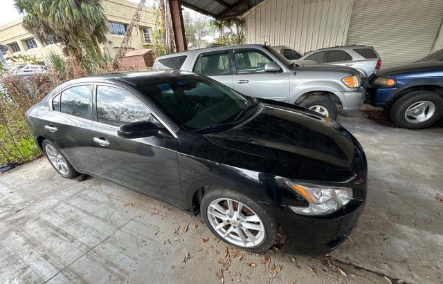 NISSAN MAXIMA 2009 1n4aa51e19c836877