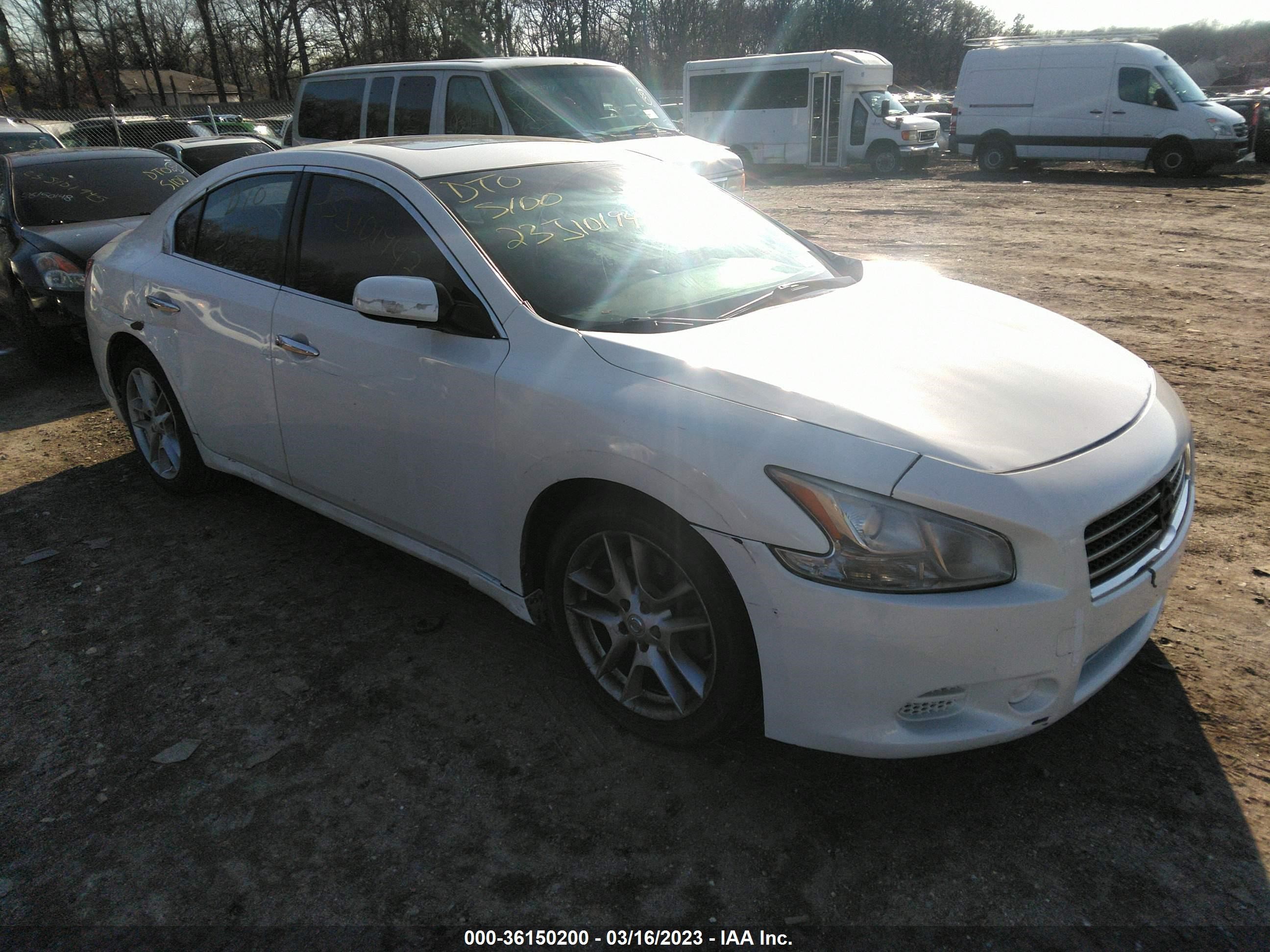 NISSAN MAXIMA 2009 1n4aa51e19c854294