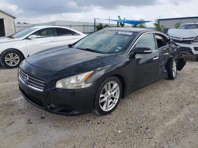 NISSAN MAXIMA 2009 1n4aa51e19c856305