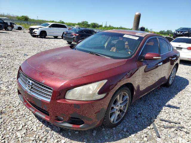 NISSAN MAXIMA 2009 1n4aa51e29c824298