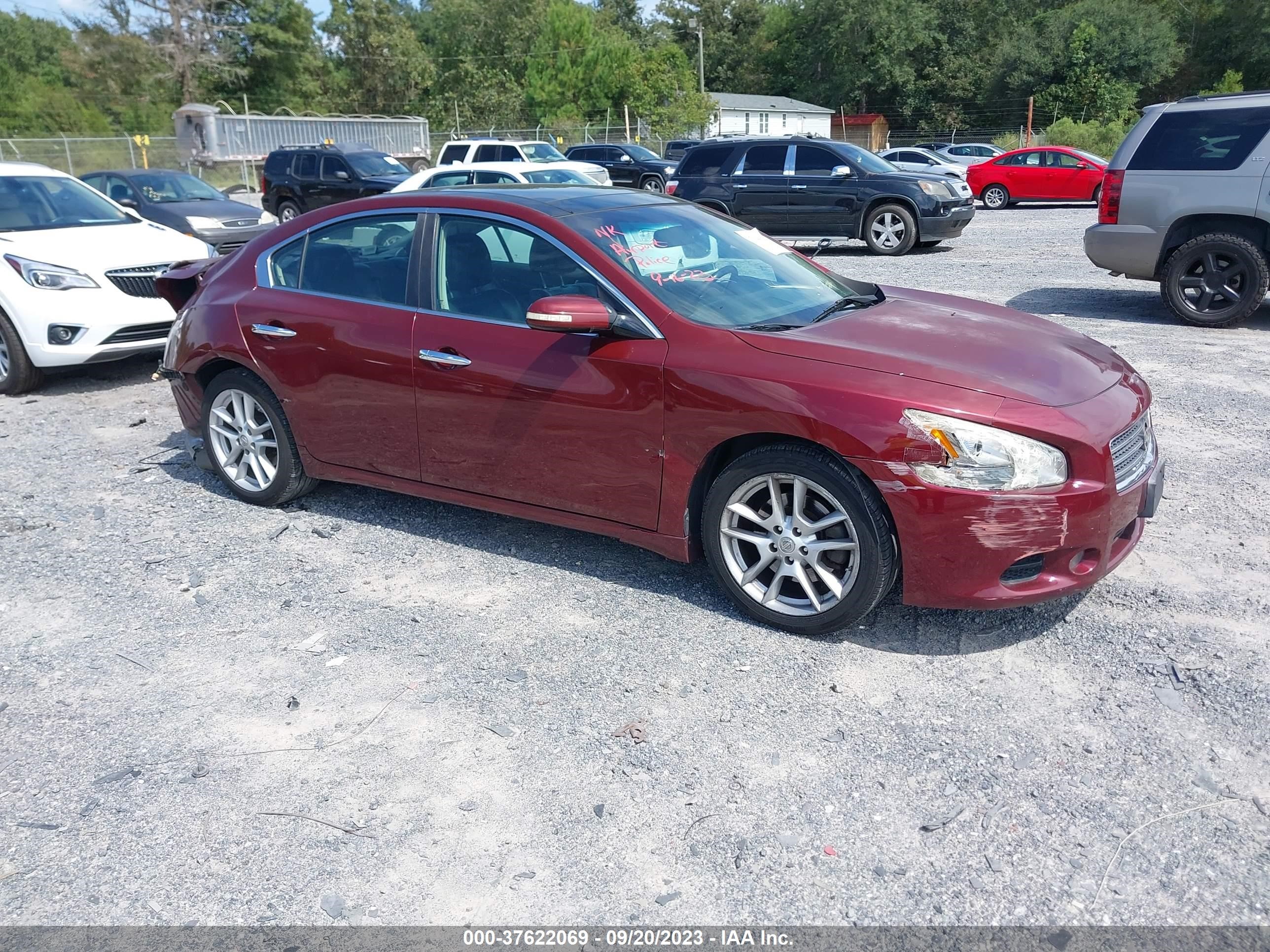 NISSAN MAXIMA 2009 1n4aa51e29c836533