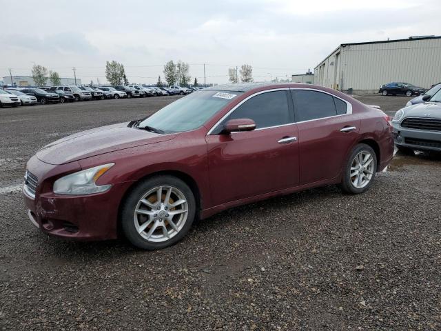 NISSAN MAXIMA S 2009 1n4aa51e39c808434