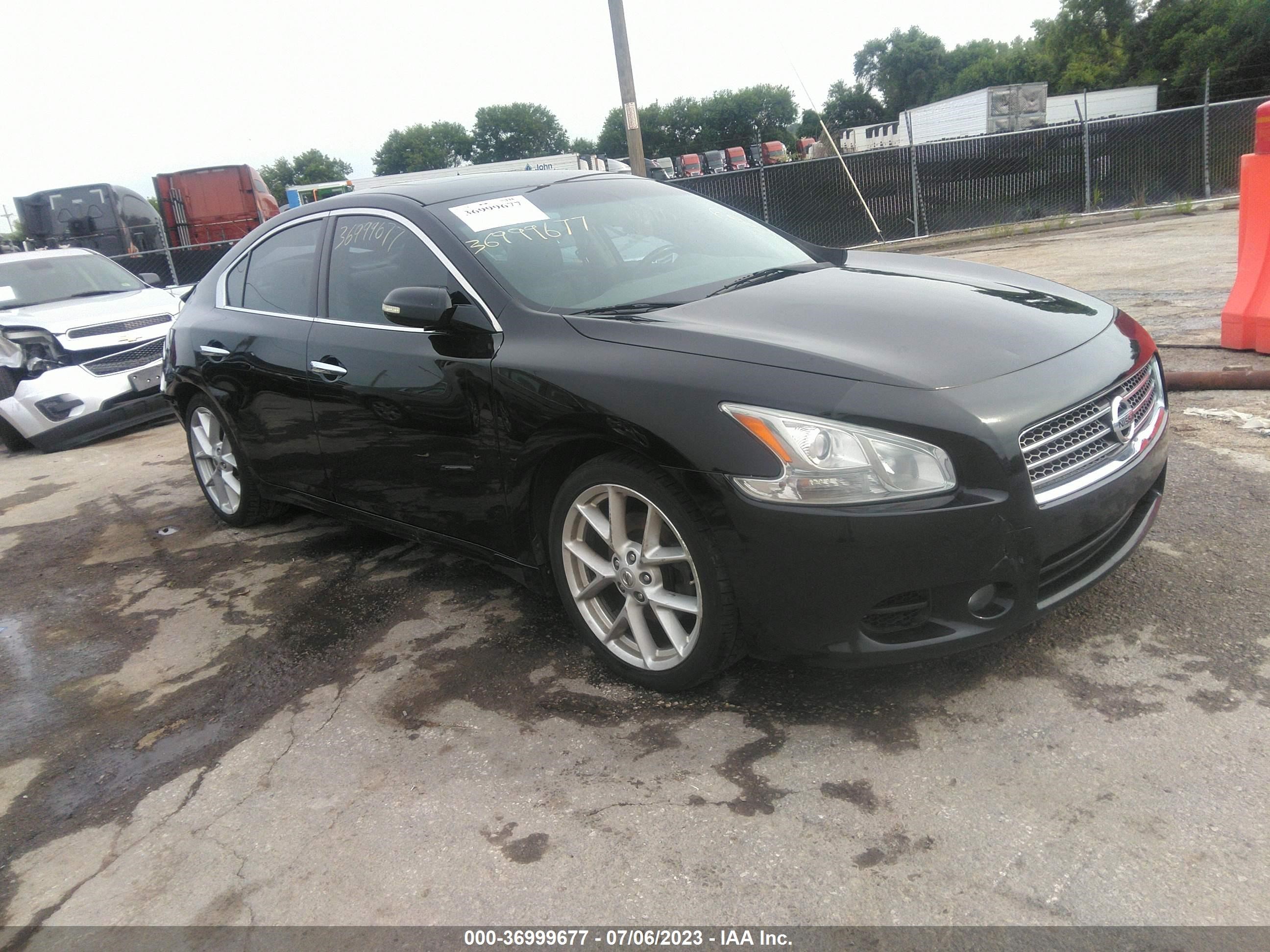 NISSAN MAXIMA 2009 1n4aa51e39c822446